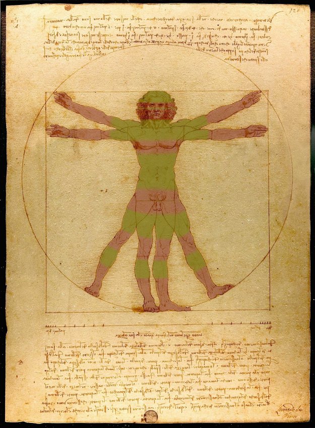 Da_Vinci_Vitruve_Luc_Viatour_edit2