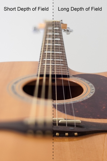 dof_2guitars_with_text
